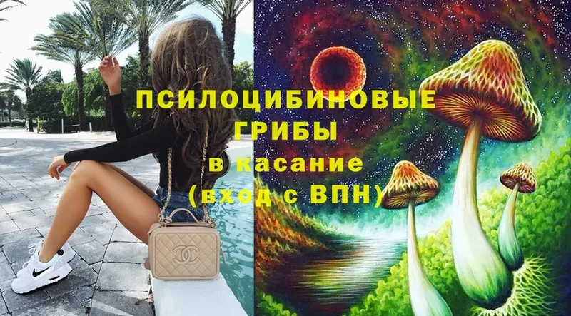 Галлюциногенные грибы Cubensis  Елизово 